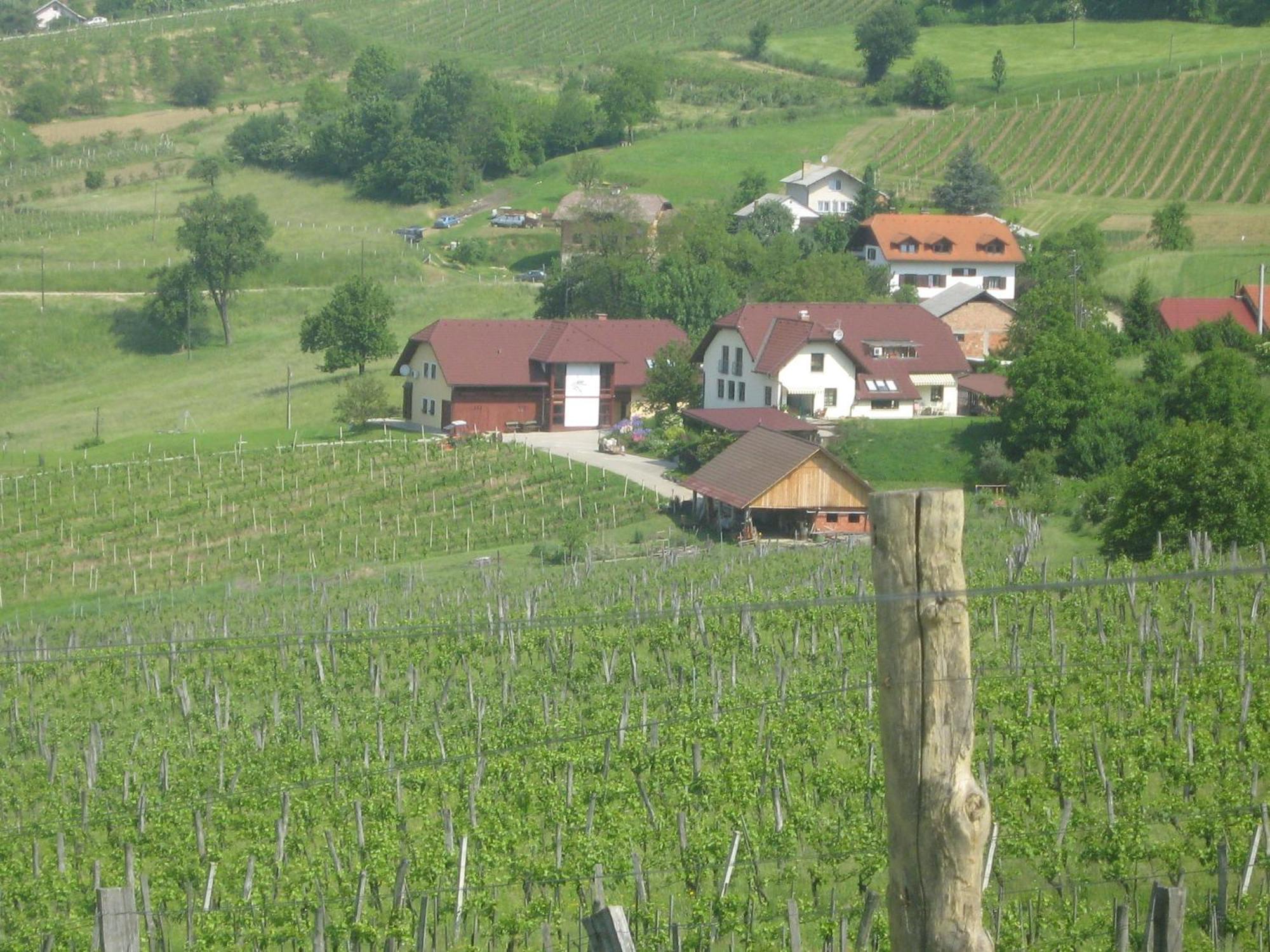 Tourist Farm Joannes Hotel Maribor Exterior foto